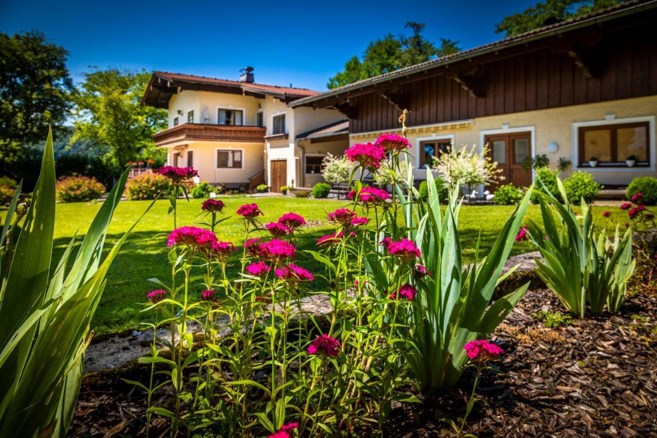 Ferienwohnung Wallmerhof am ländlichen Wimberg Adnet Exterior foto